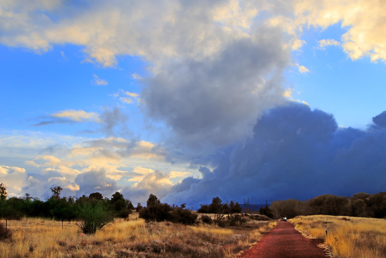 Peavine Trail