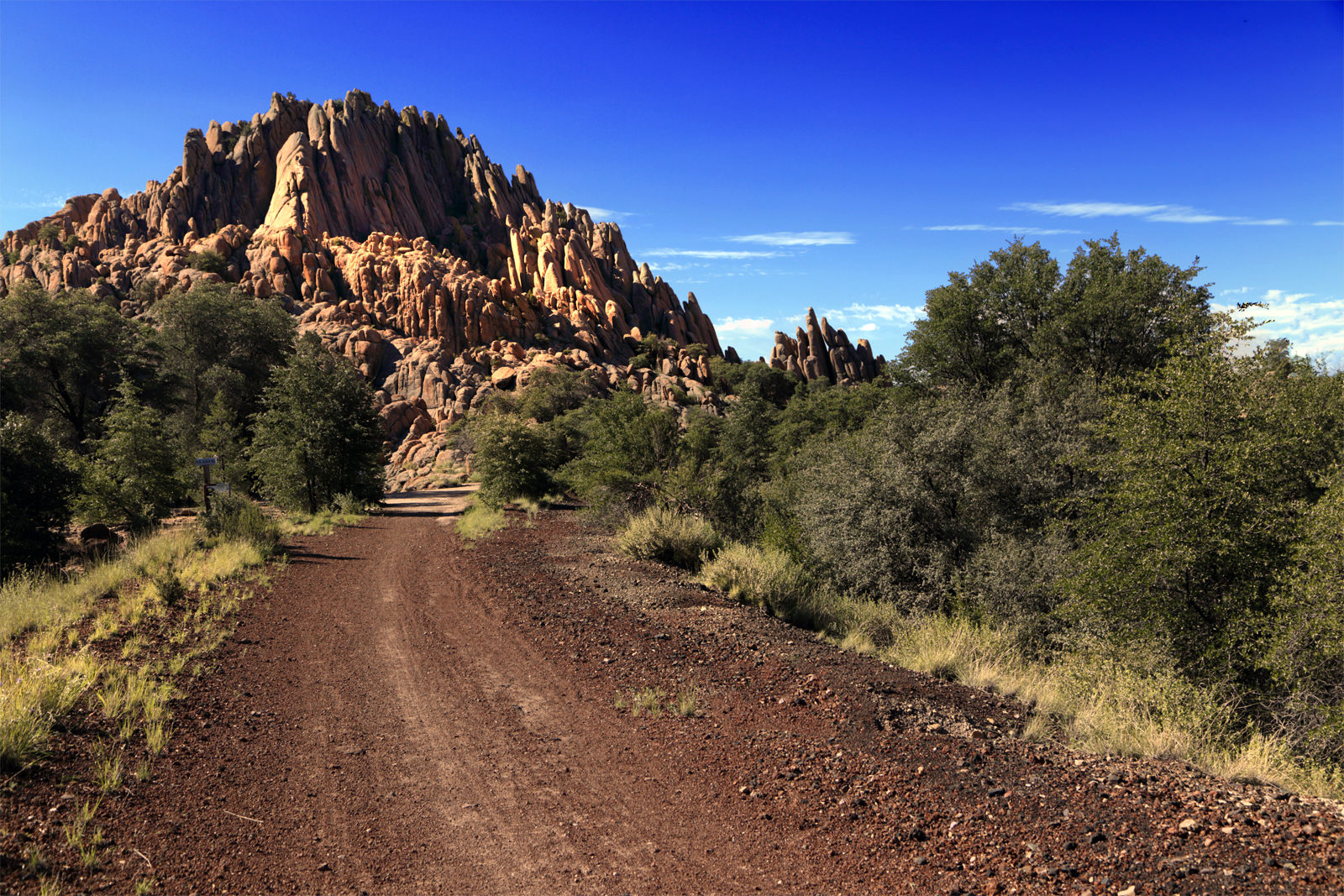 At Iron King Trail