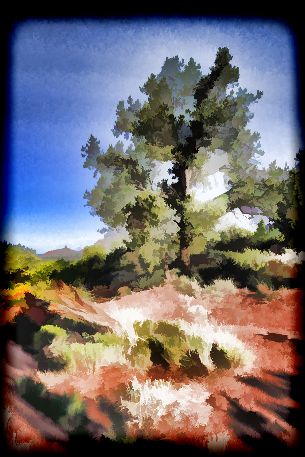Schnebly Hill